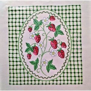 Strawberry Gingham Vintage Crewel Embroidery Kit 1970's Boho Cottage Core Kawaii